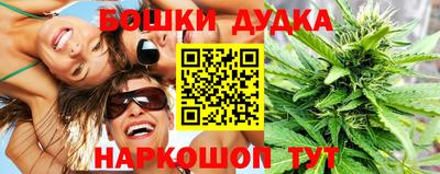 прущие грибы Будённовск