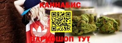 прущие грибы Будённовск