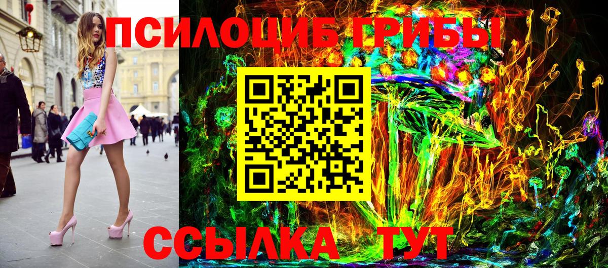 Ростов-на-Дону  Галлюциногенные грибы Psilocybe  Галлюциногенные грибы Psilocybe  Вход с VPN 